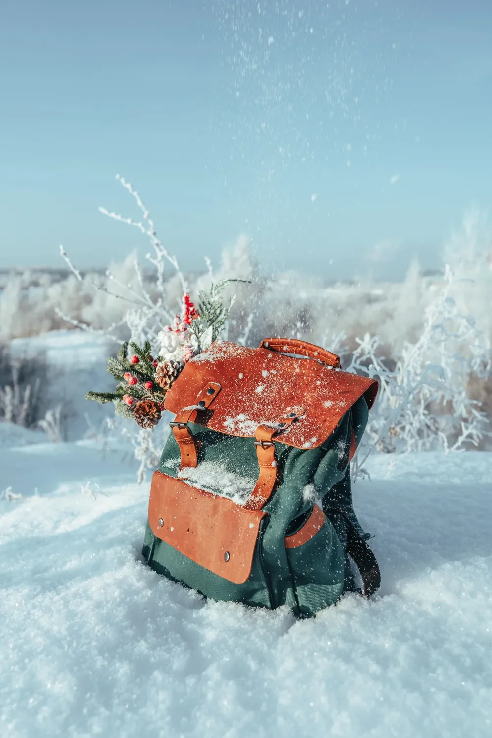 Wildbags backpack standing in snow with winter branches
