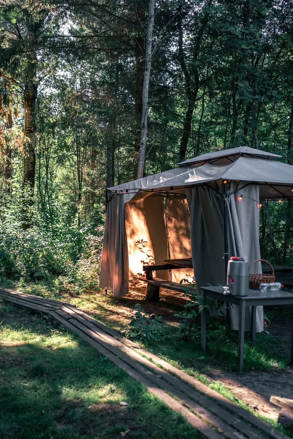Open glamping tent in the forest