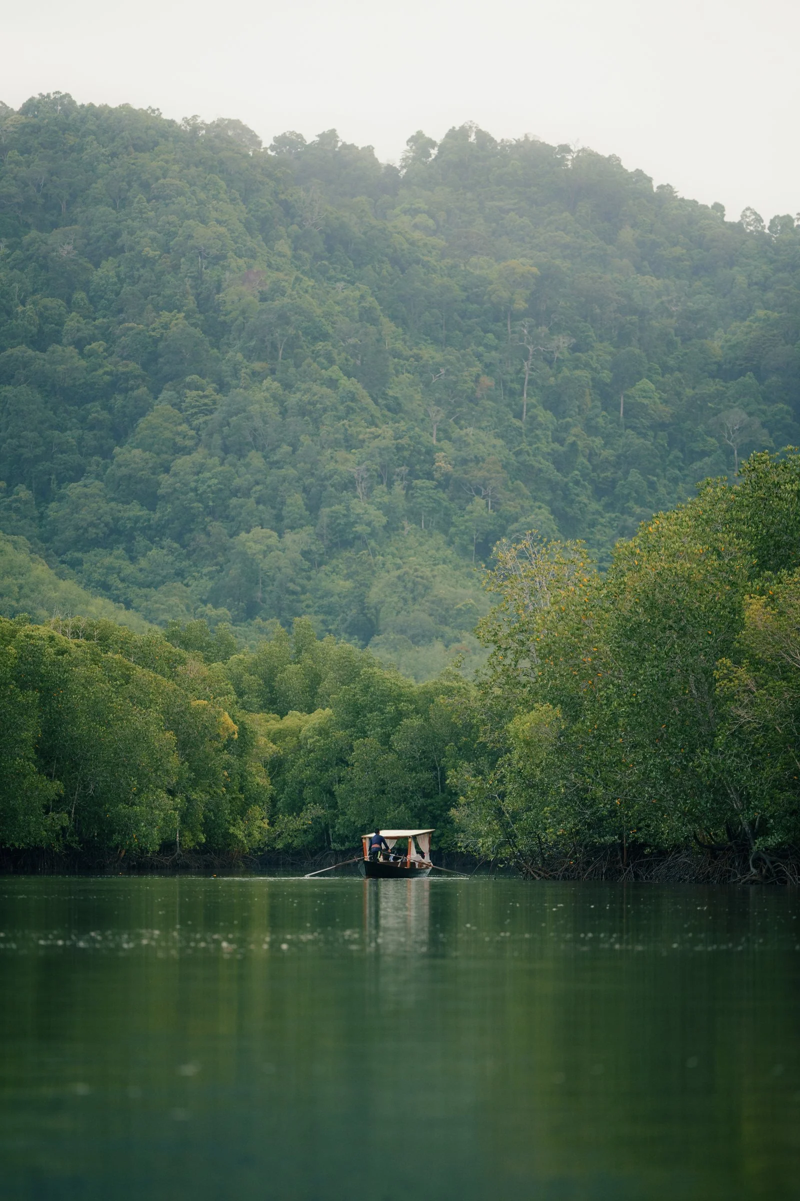 Traveller crossing mangrove waters by long-tail boat