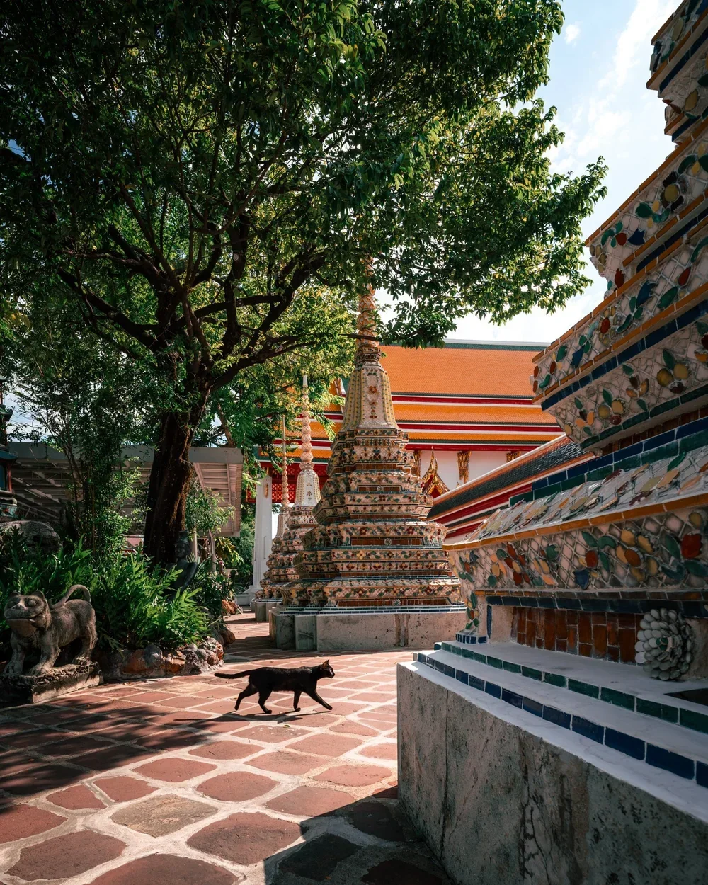 Quiet temple courtyard with a cat beneath the trees