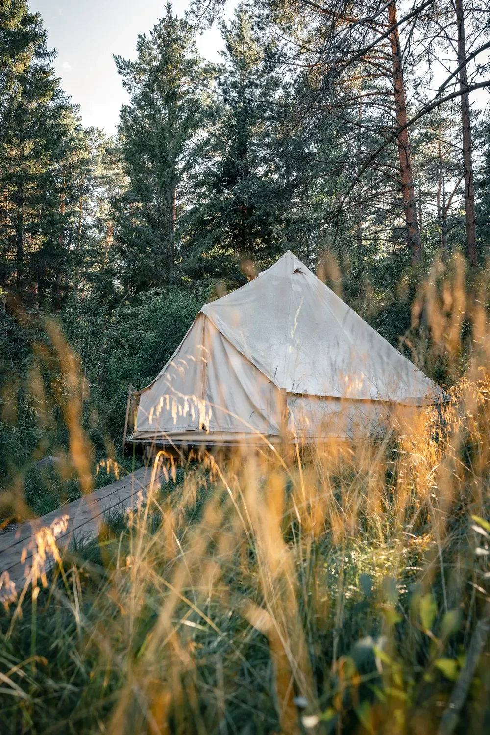 Canvas glamping tent in a sunlit forest meadow