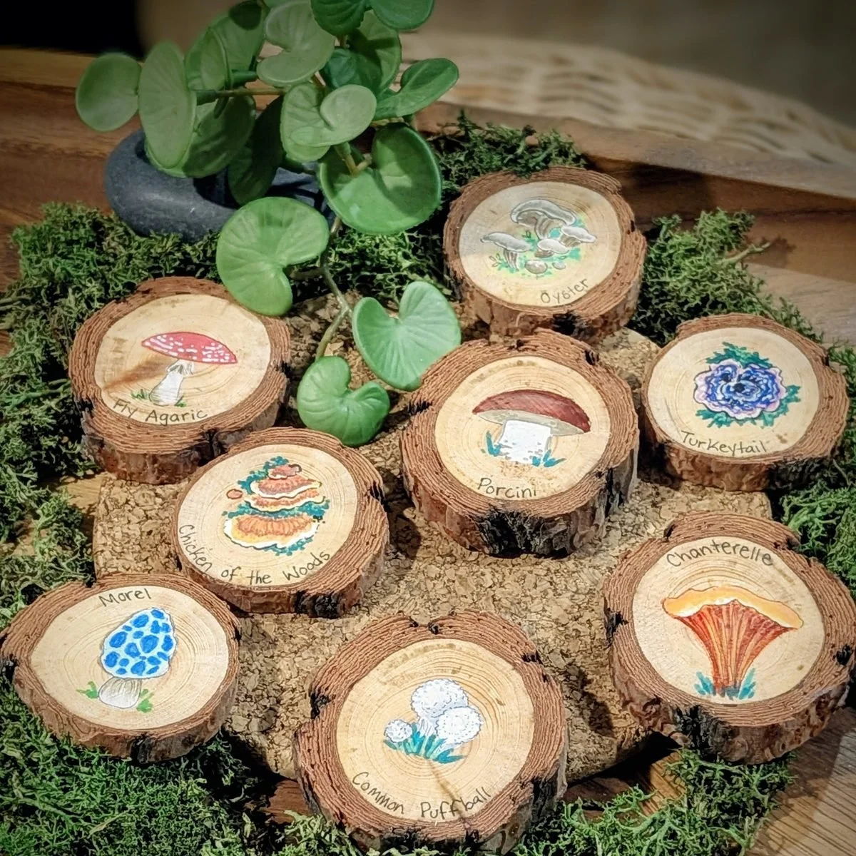 Wooden discs laid out on moss, each hand painted with a different mushroom and its name, including fly agaric, morel, chanterelle and oyster