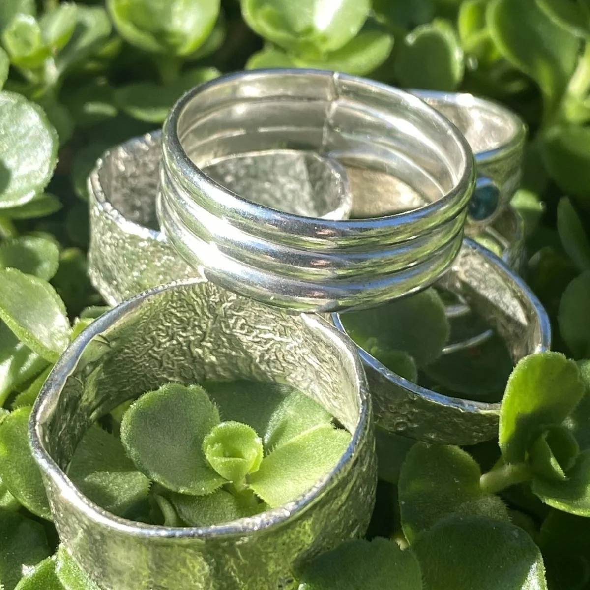 Several wide sterling silver band rings resting on green succulent leaves, some hammered and textured, one smooth and grooved
