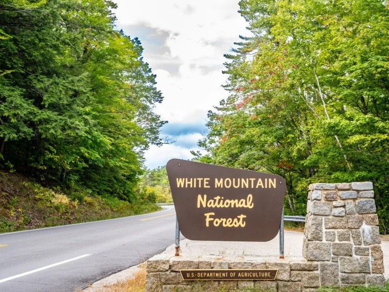 White Mountain National Forest