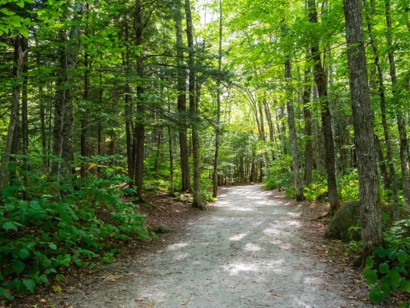 Hiking trails near Madison NH