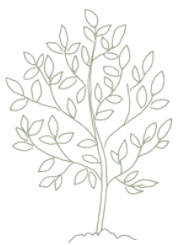 Grove classroom illustration