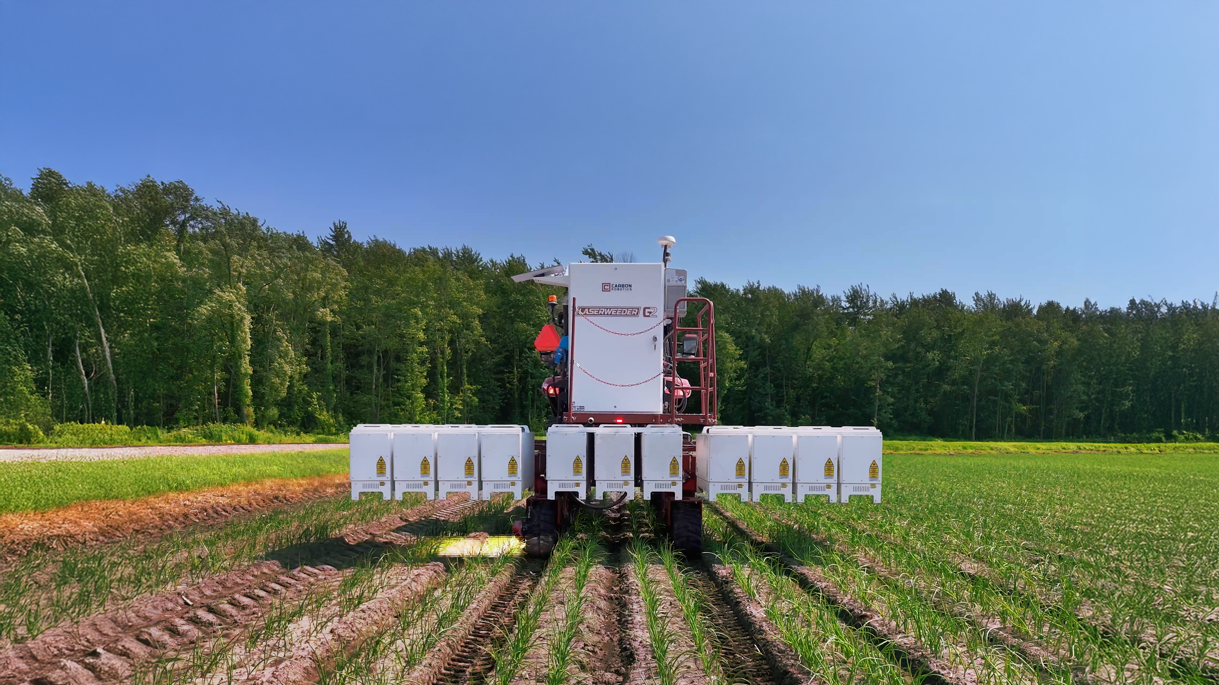 LaserWeeder G2 weeding onions