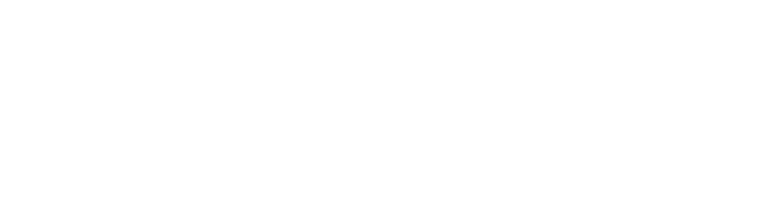 Carbon Robotics Logo White