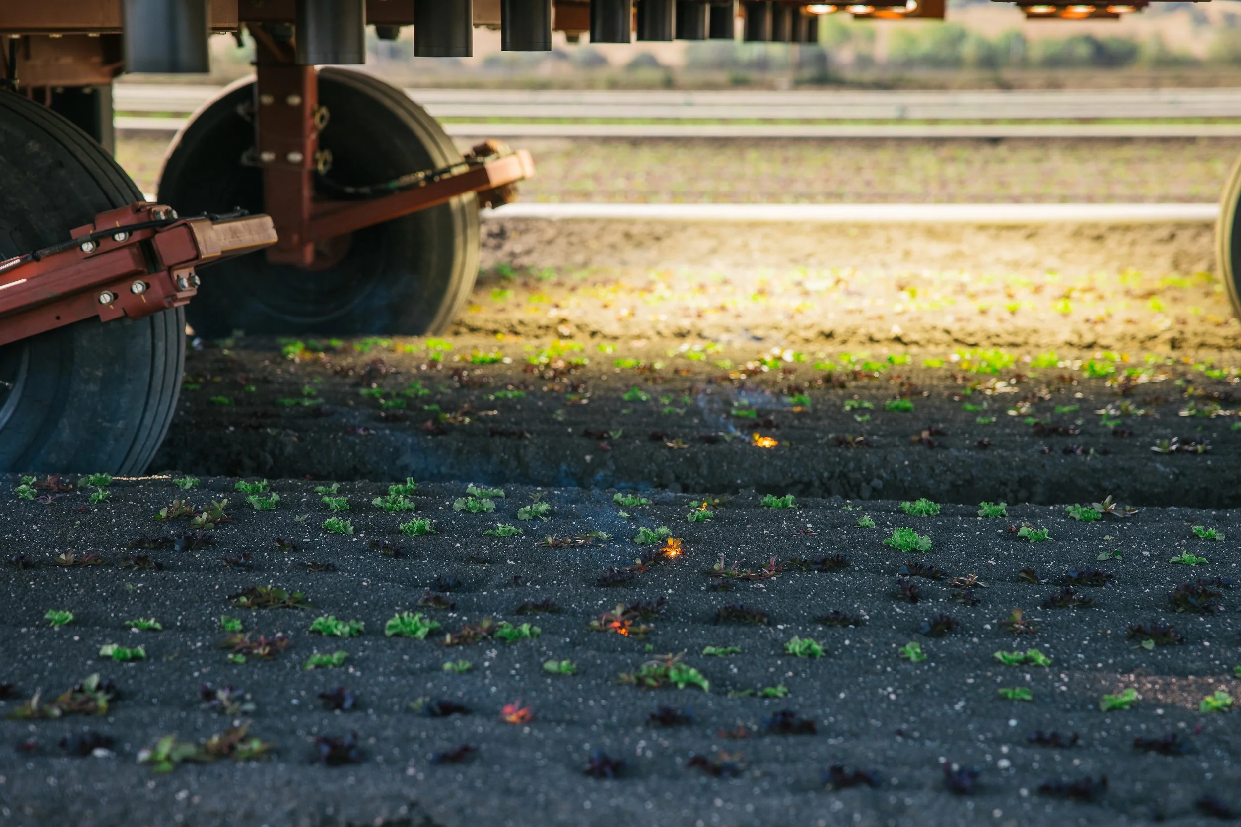 Laser Weeding