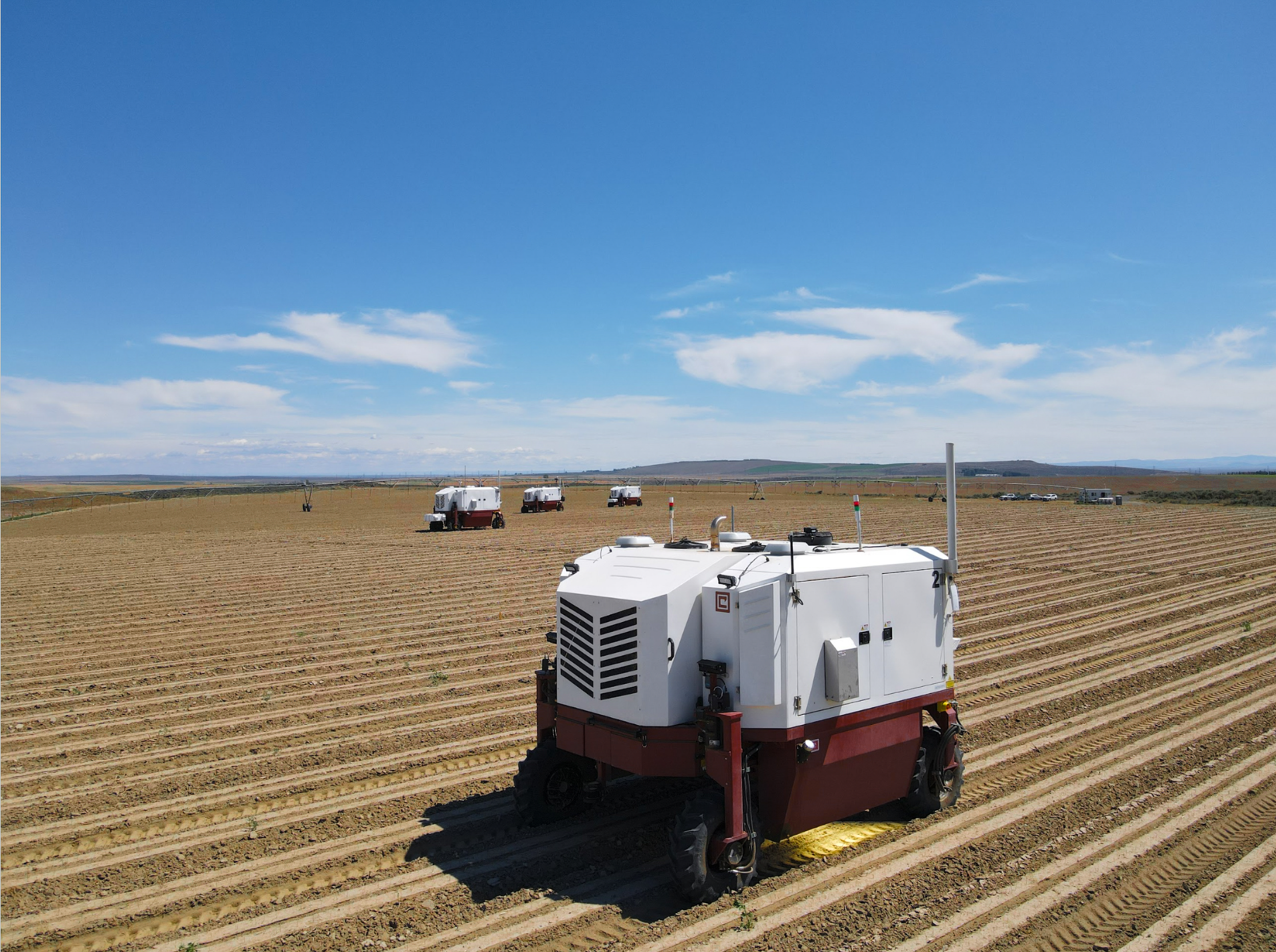 Bud autonomous weeder on a prepared field