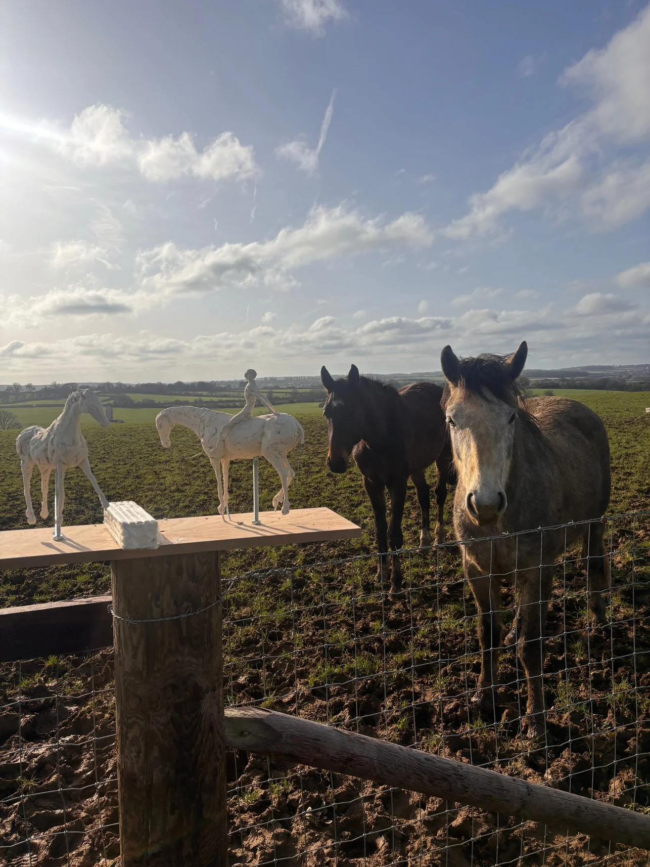 Two pale horse maquettes standing on a wooden plinth in a field at sunrise, with three of the herd watching from behind the fence.