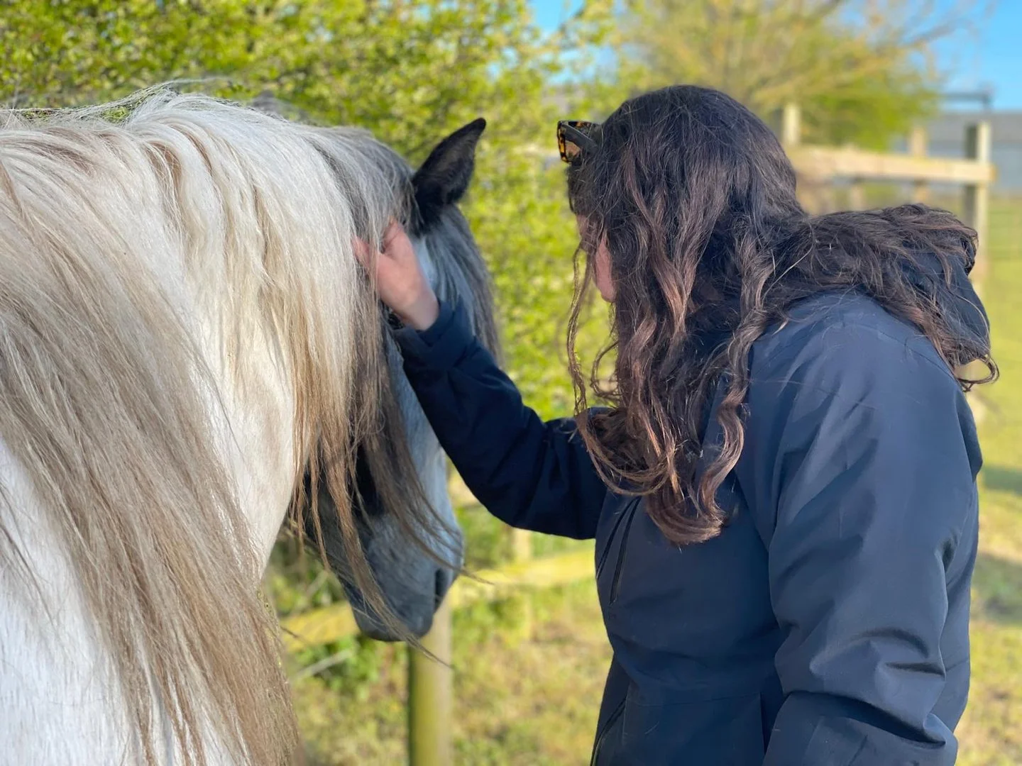 A woman with dark hair standing at the shoulder of a grey and black cob, one hand resting gently on its neck.