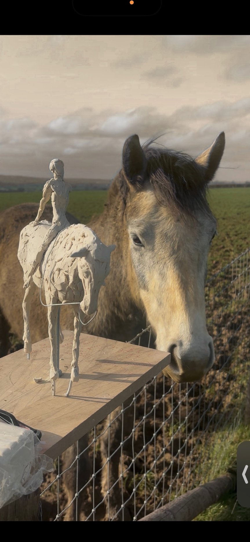 A dun horse leaning over the fence towards two small pale horse maquettes on their plinth.