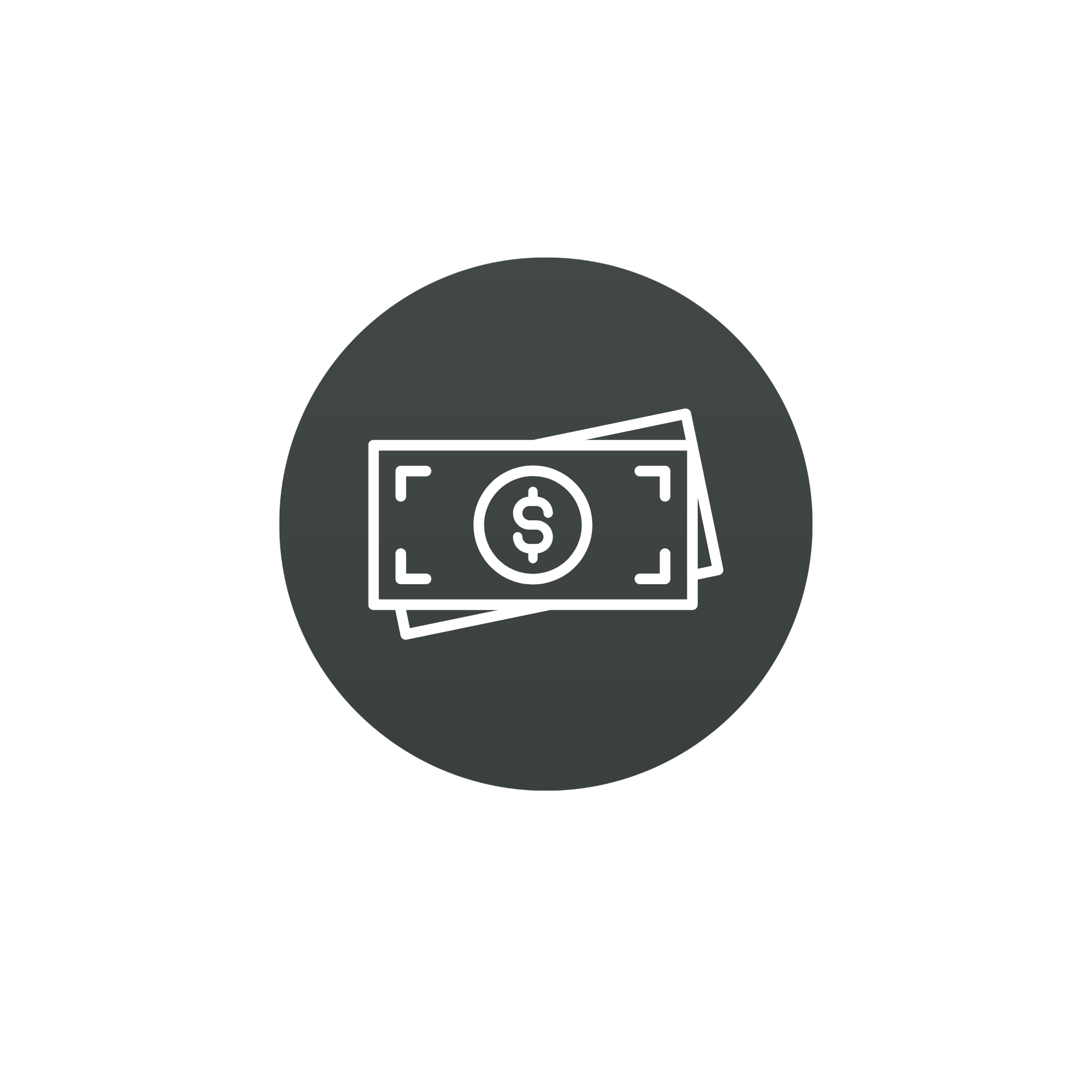 money icon
