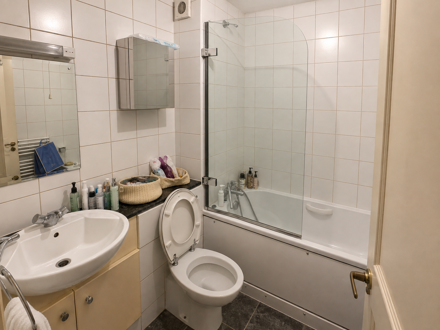 Family bathroom before