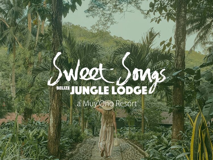 Sweet Songs Jungle Lodge