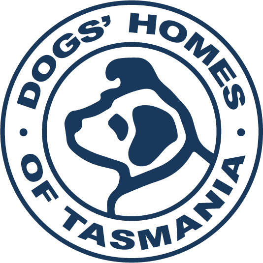 Website 5 Logo