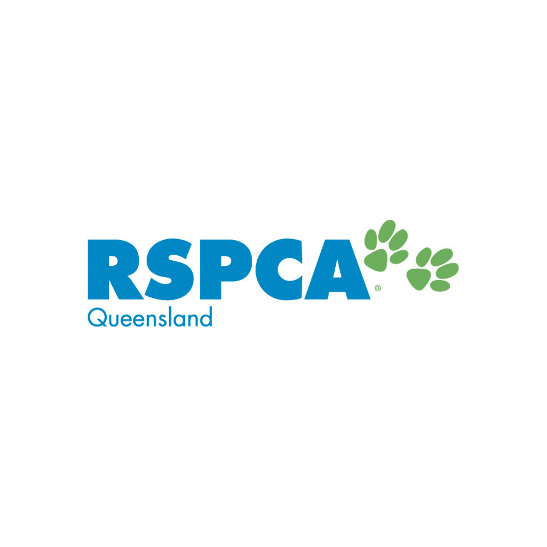 Website 1 Logo