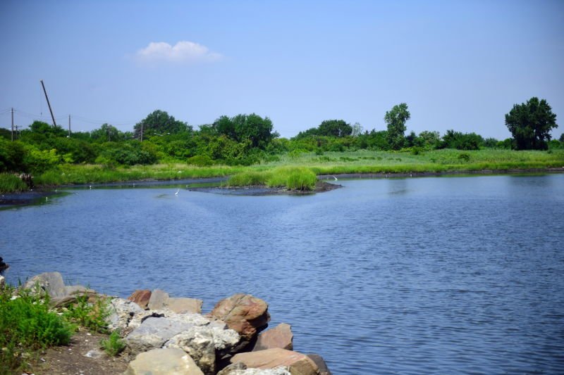 Spring Creek North Salt Marsh