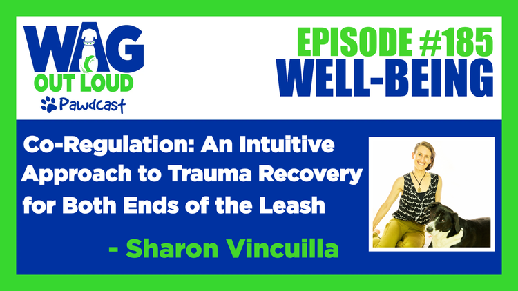 Image is outlined in bright grass green and shows the Wag Out Loud Pawdcast logo top left. The episode title is in white against primary blue, "co-regulation: an intuitive approach to trauma recovery at both ends of the leash, with Sharon Vincuilla"