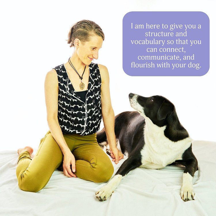 Image shows a human dressed in black-and-white, seated on the floor locking eyes with a black-and-white dog. A lavender banner reads "I am here to give you a structure and vocabulary so that you can connect, communicate, and flourish with your dog."