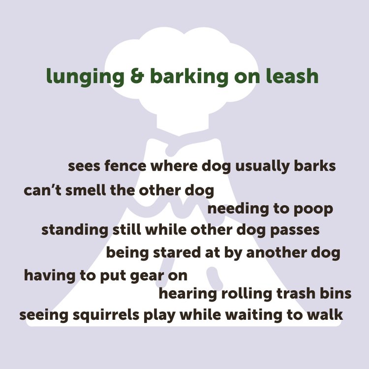 Image has lilac background with white exploding volcano graphic. In forest green over volcano smoke, "lunging & barking on leash". Chocolate brown words listed below volcano explosion show stressful experiences that led to lunging and barking.