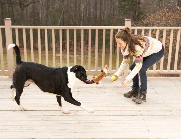 Photo of a human and dog, playing outdoors on a second-floor deck. The dog is a large black-and-white floppy-eared mix with a fox toy in their mouth. The human has long brown hair and wears a cream, pink, and blue sweater with dark blue jeans.