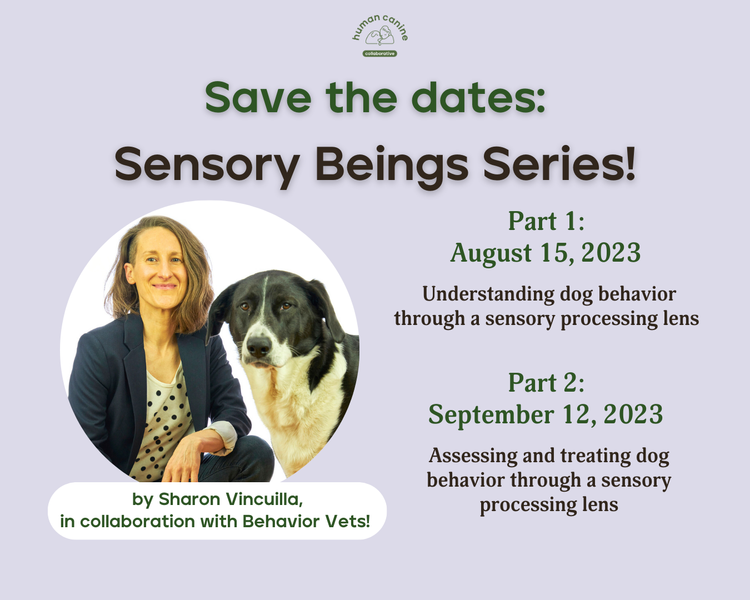 Image has a lilac background with forest green and chocolate brown words saying "save the dates: sensory being series. Part 1: August 15, Part 2: September 12, 2023. Sharon and Muggins are smiling from a round photo on the left.