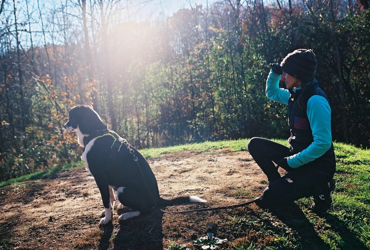Photo of a human and dog, pausing on a sunny wooded path. The black-and-white dog is seated focusing left. The human kneels behind, wearing turquoise and black, holding one hand to block the sun so they can trace the dog's gaze.