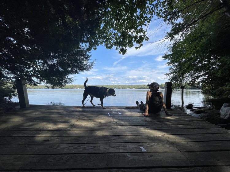 Image shows a human seated lazily on a dock at the edge of a forest-bound lake. A black-and-white dog approaches from the left with tail held high, intent on thanking the human for this special outing.