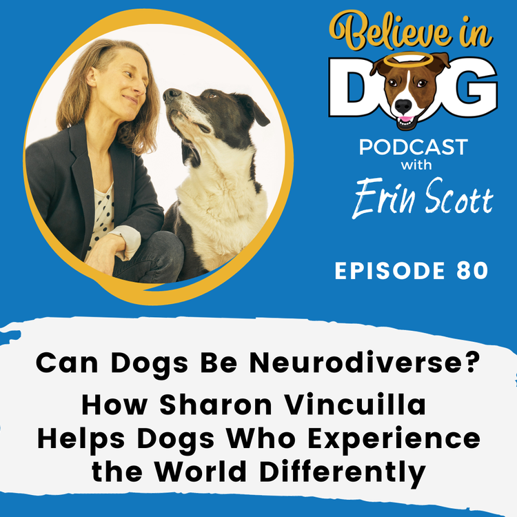 Image has sky blue background with white and black words. A photo of Sharon and Muggins is top right, with podcast title, "Can dogs be neurodiverse? How Sharon helps dogs who experience the world differently."