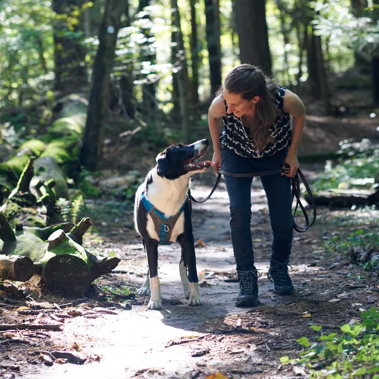 Image shows a white human and black-and-white dog on a trail in a sun-dappled forest. The two are smiling and gazing at each other in a mid-hike pause.