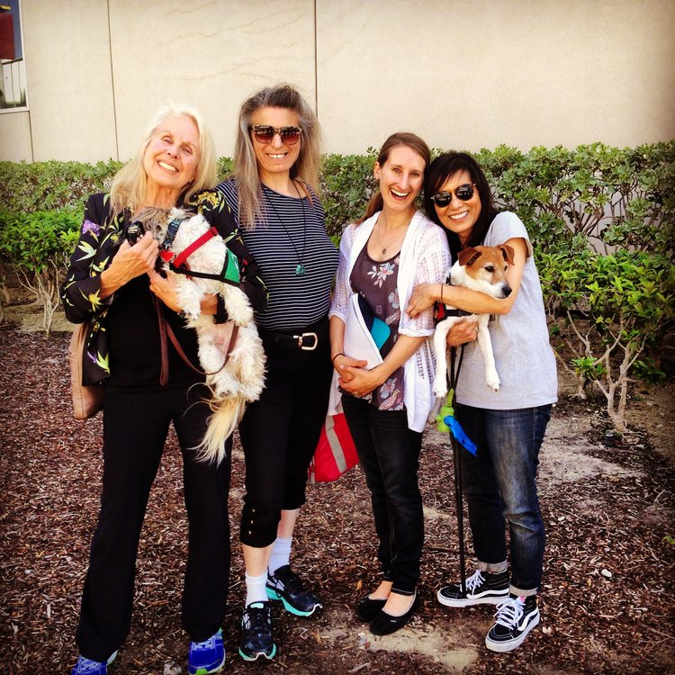 Image shows Sharon, smiling radiantly, while standing amidst 3 women. Two of the women are holding small dogs in their arms, a white and tan Jack Russell named Dex, and a white and grey terrier mix named Caspy. The dogs are wearing therapy dog vests.