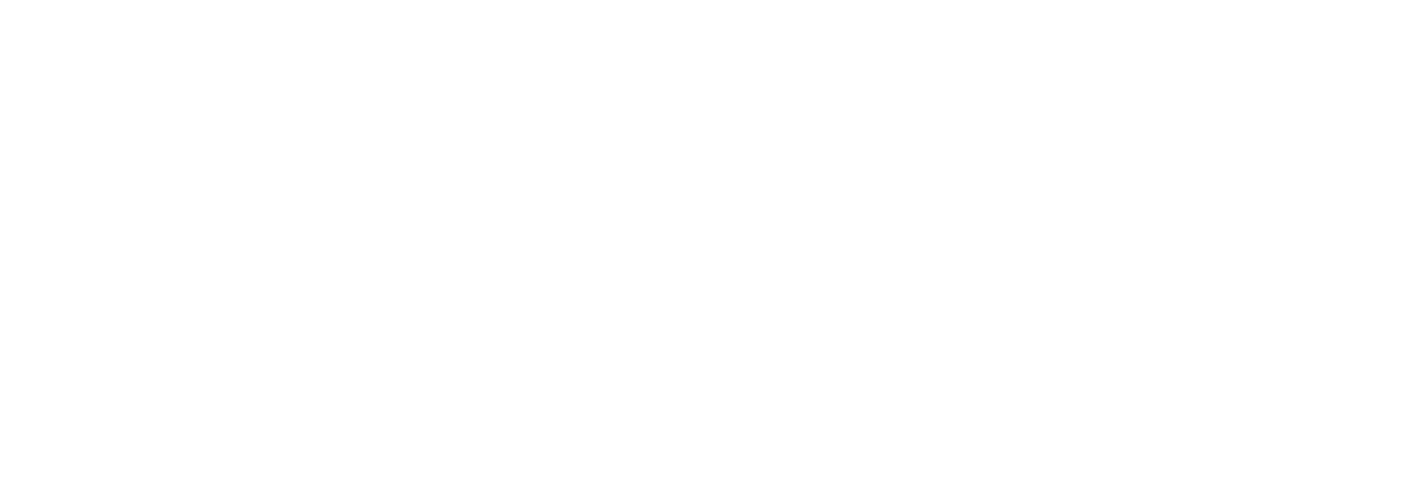 Al Jazeera news and documentary stringer services