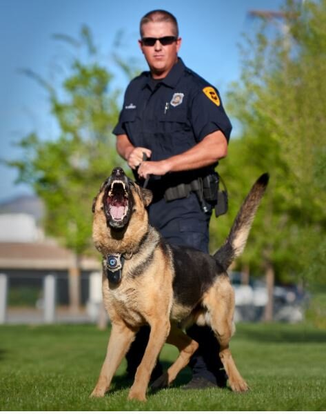 K9 Unit SW