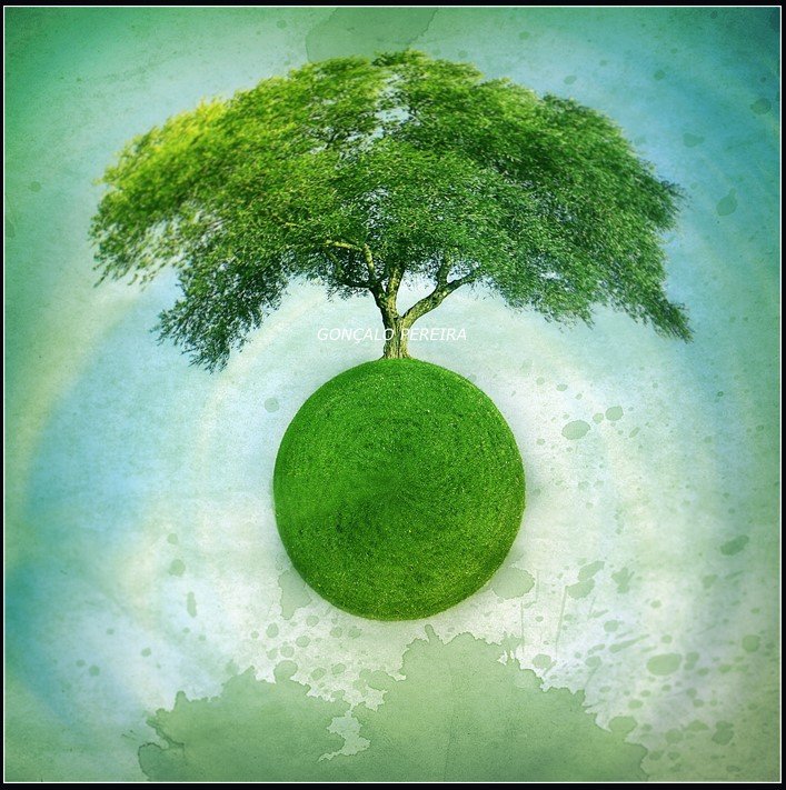 Green floating Earth sustaining a green tree