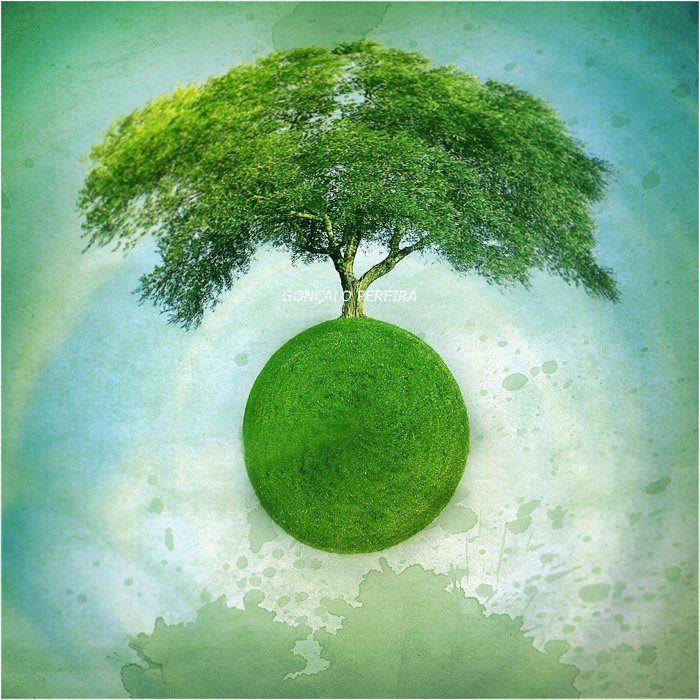 A green planet supports a tree
