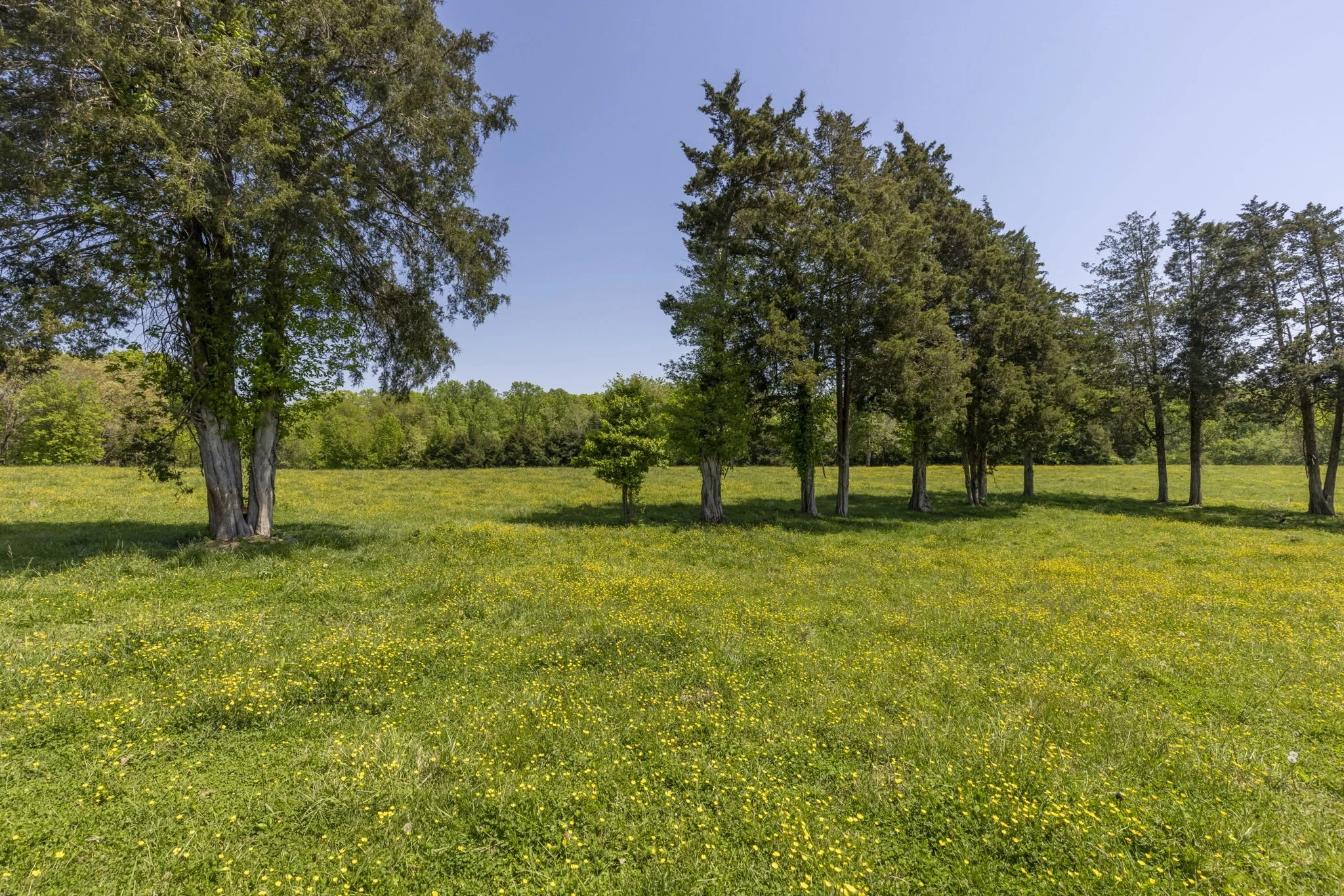 Landmark estate and event venue near Manakin-Sabot VA