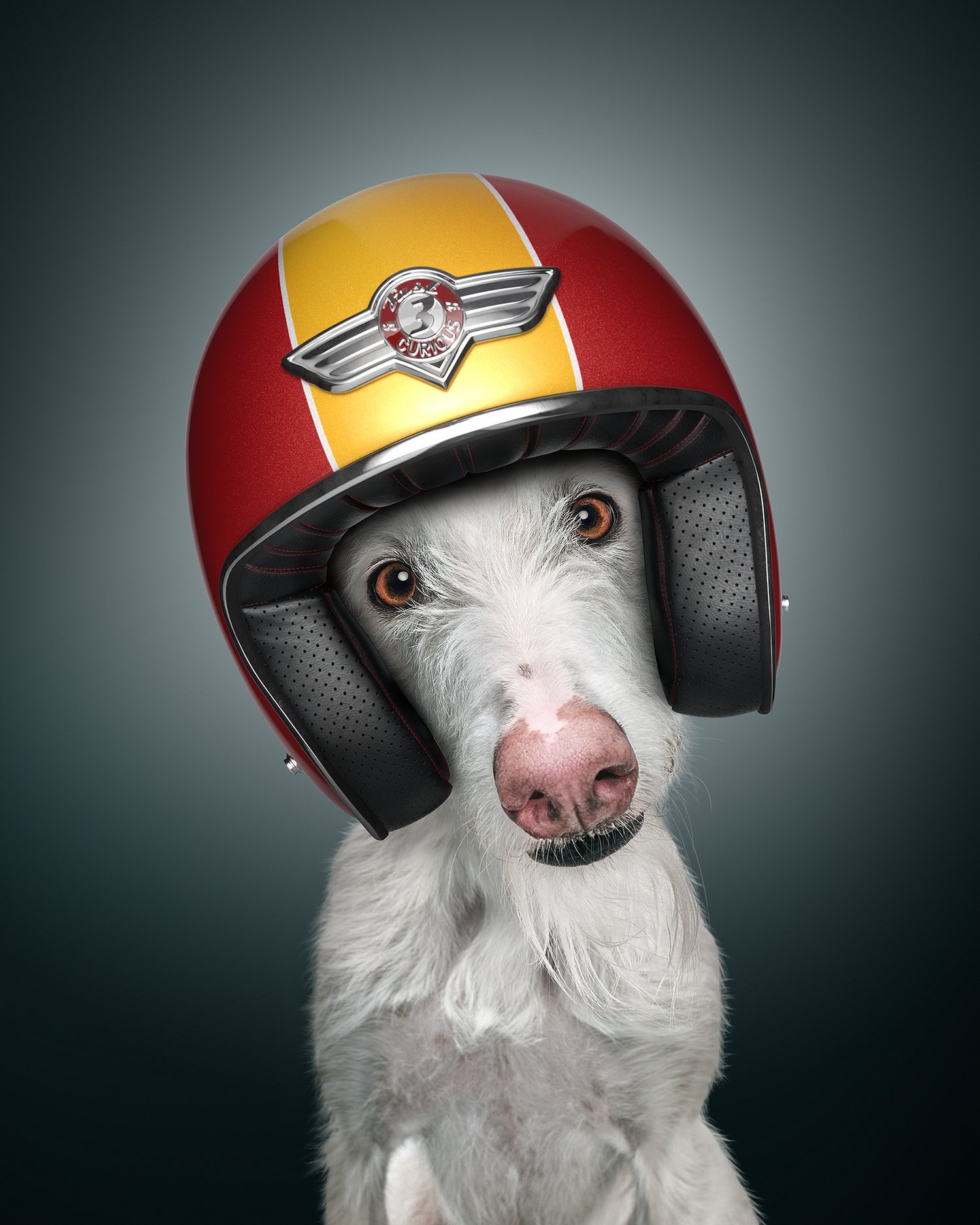 Pet Racer 2003