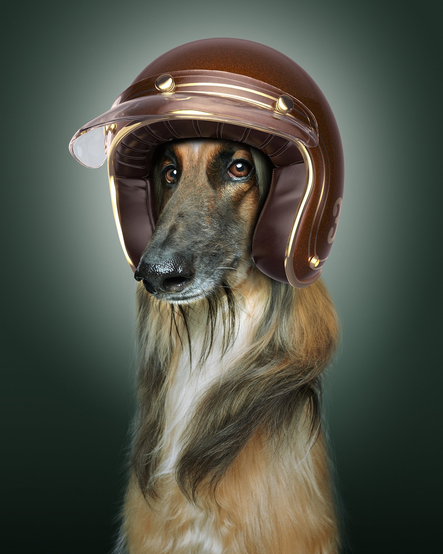 Pet Racer 2003