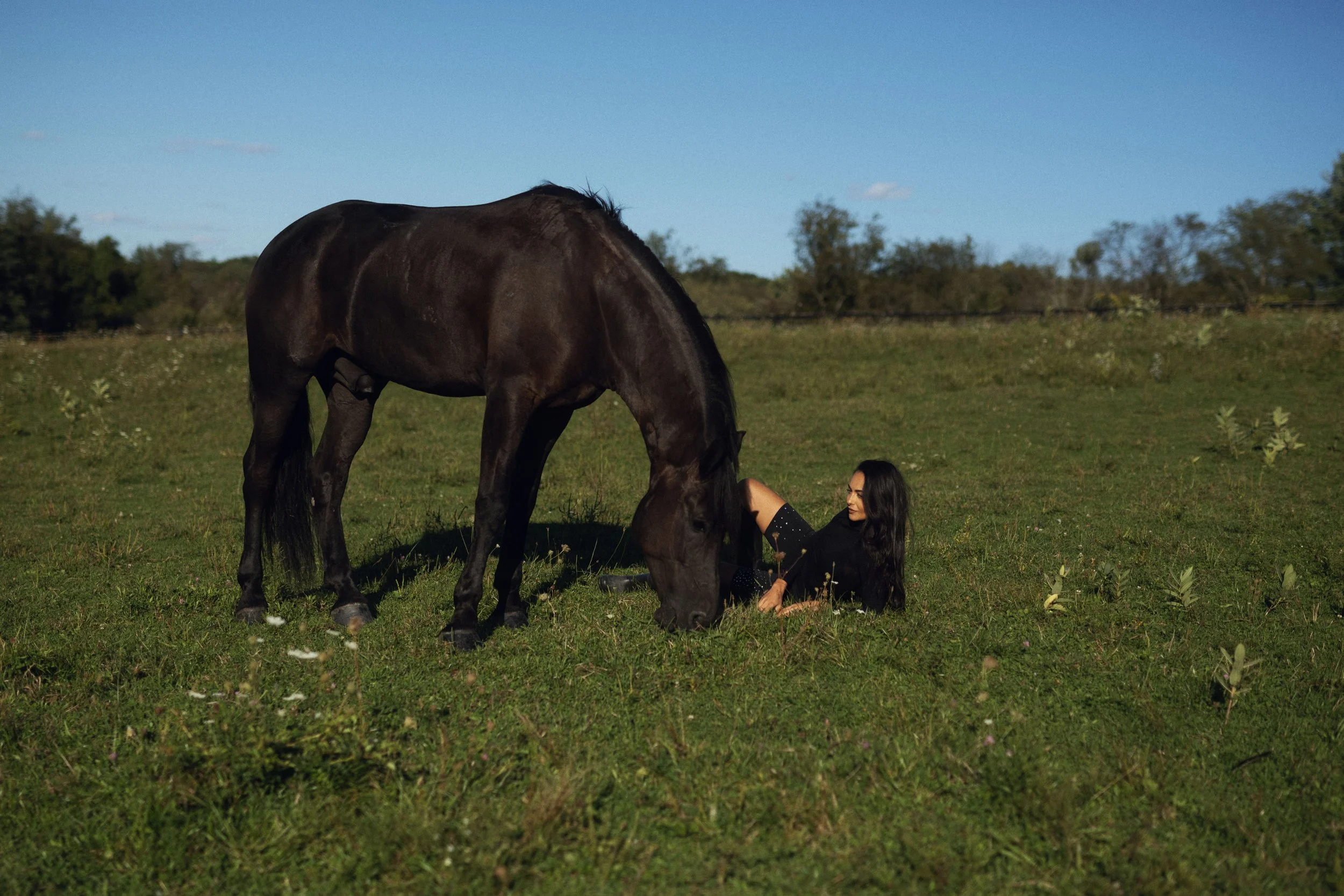 Backlit silhouette with horse