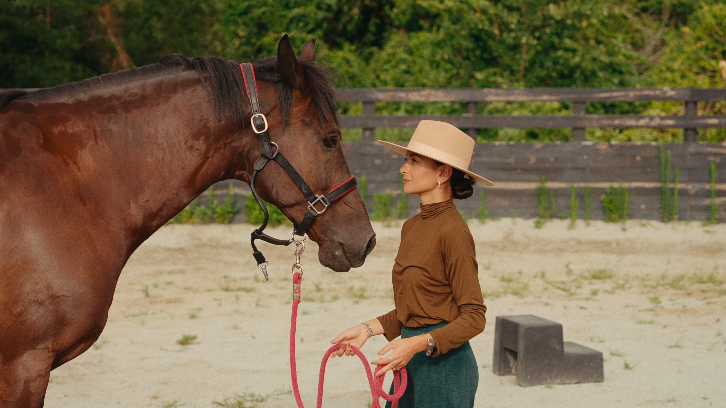 Bee Bosnak facing a horse in the round pen, lead rope in hand