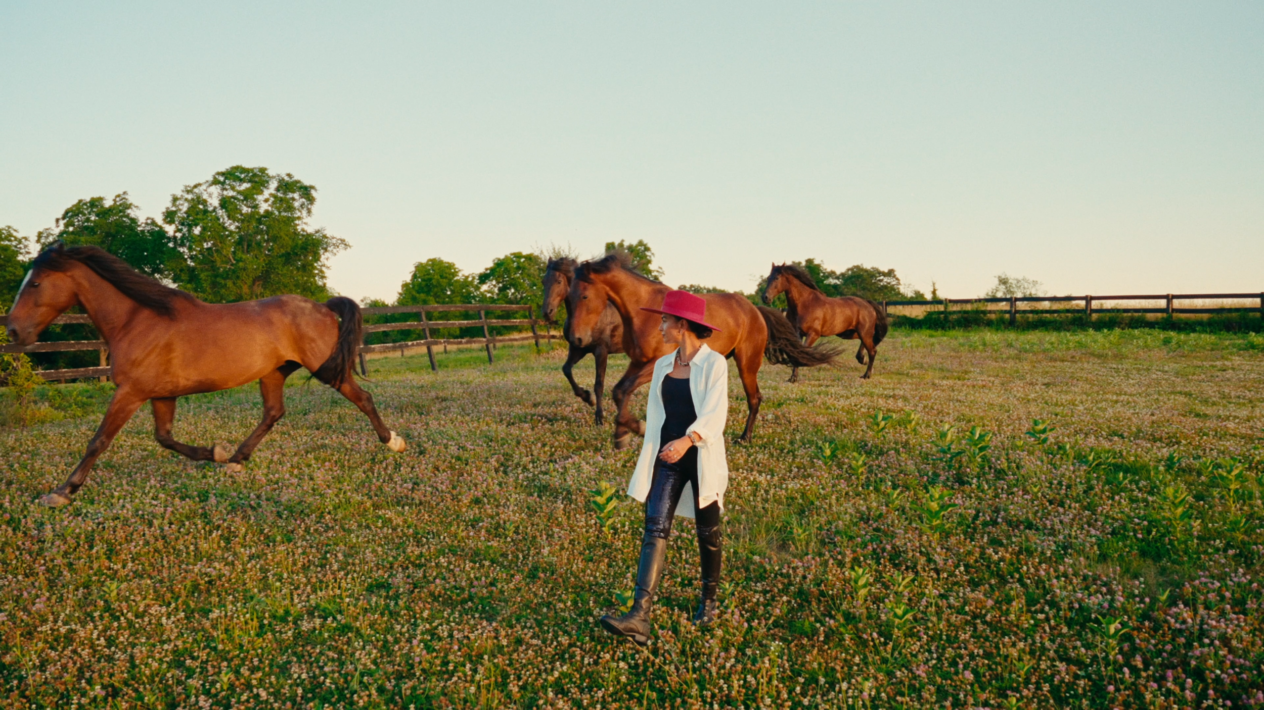 Bee Bosnak walking in a pasture as horses run past