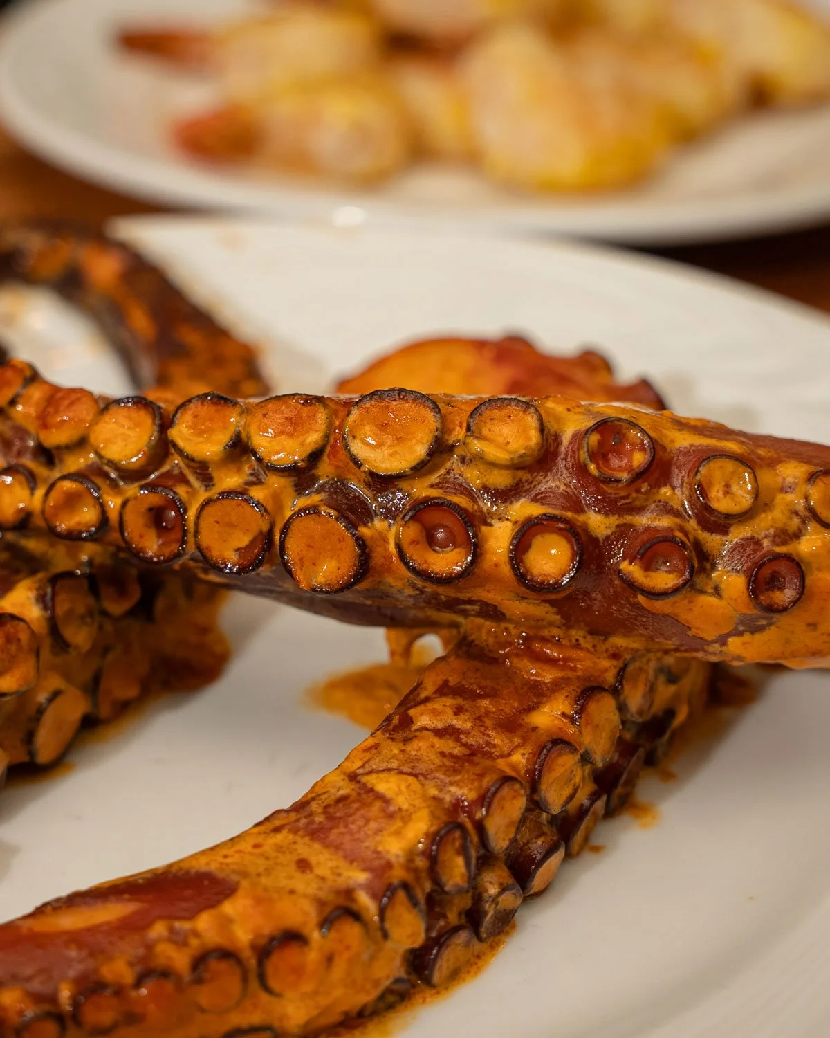 Grilled Chipotle Octopus