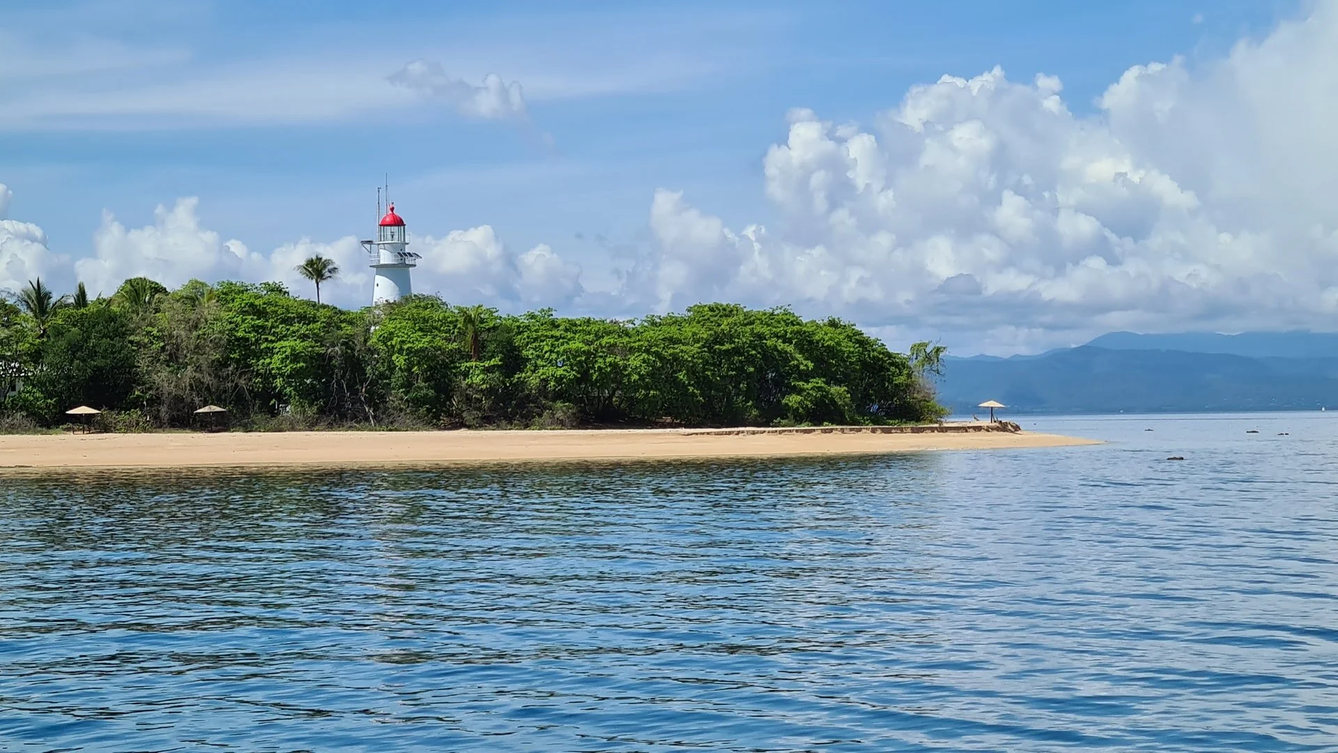 Low Isles vegetation