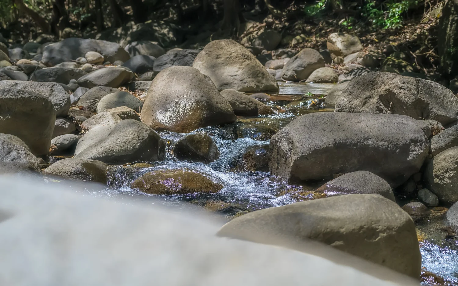 A clear stream running over smooth stones