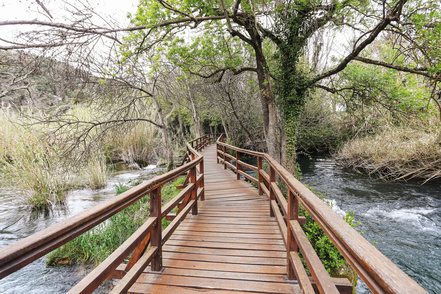 A wooden boardwalk crossing open ground in stages