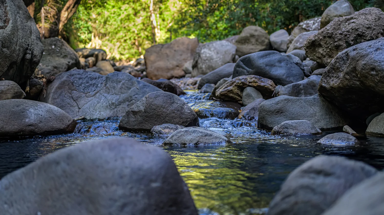Water finding its way between rocks in a shallow stream