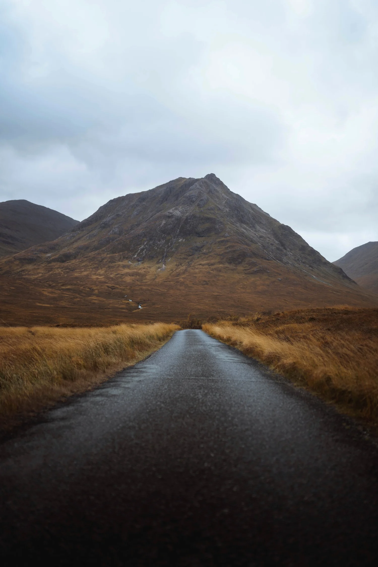 A footpath running into distant mountains