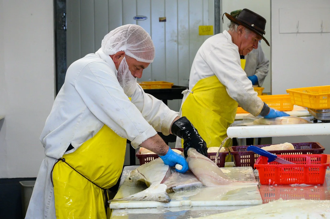 Commercial — Haida Gwaii Halibut